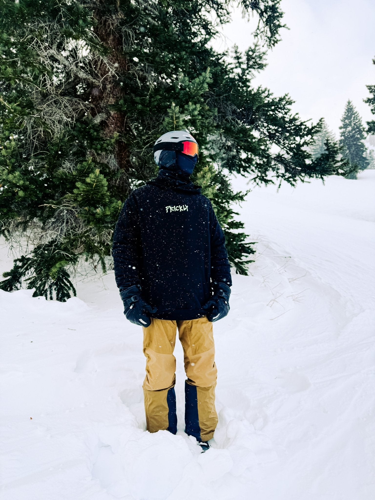 Prickly Pear Hoodie by Ventus Bikes USA | Electric Dirt Bike