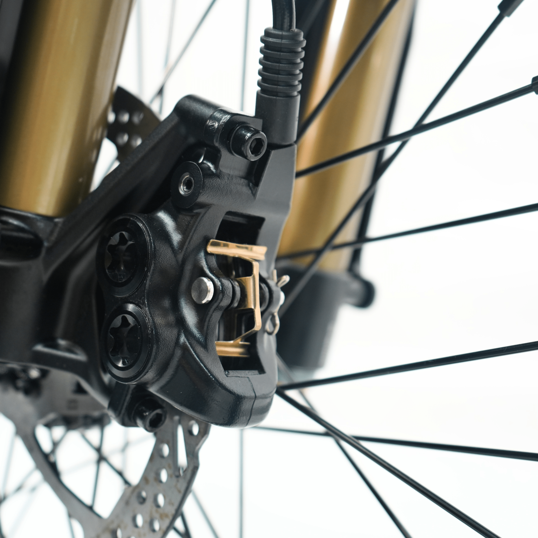 Ventus V1+ EVO by Ventus Bikes USA | Electric Dirt Bike Electric Motorcycle
